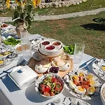 My Reset Farm Catalca * Aydinlar