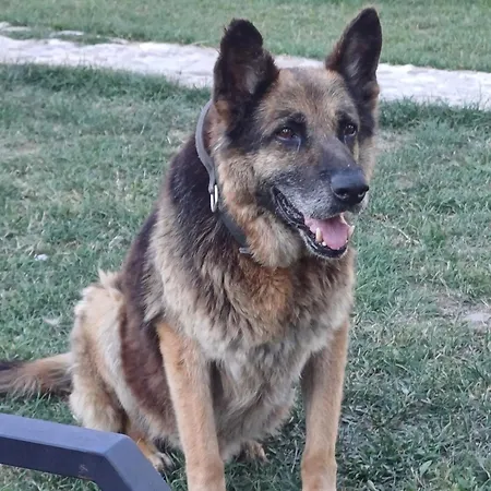 My Reset Farm 酒店